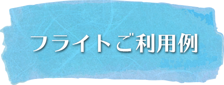 フライトご利用例