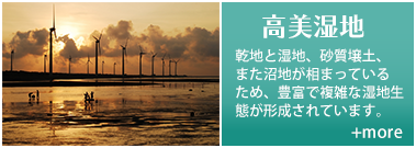 高美湿地