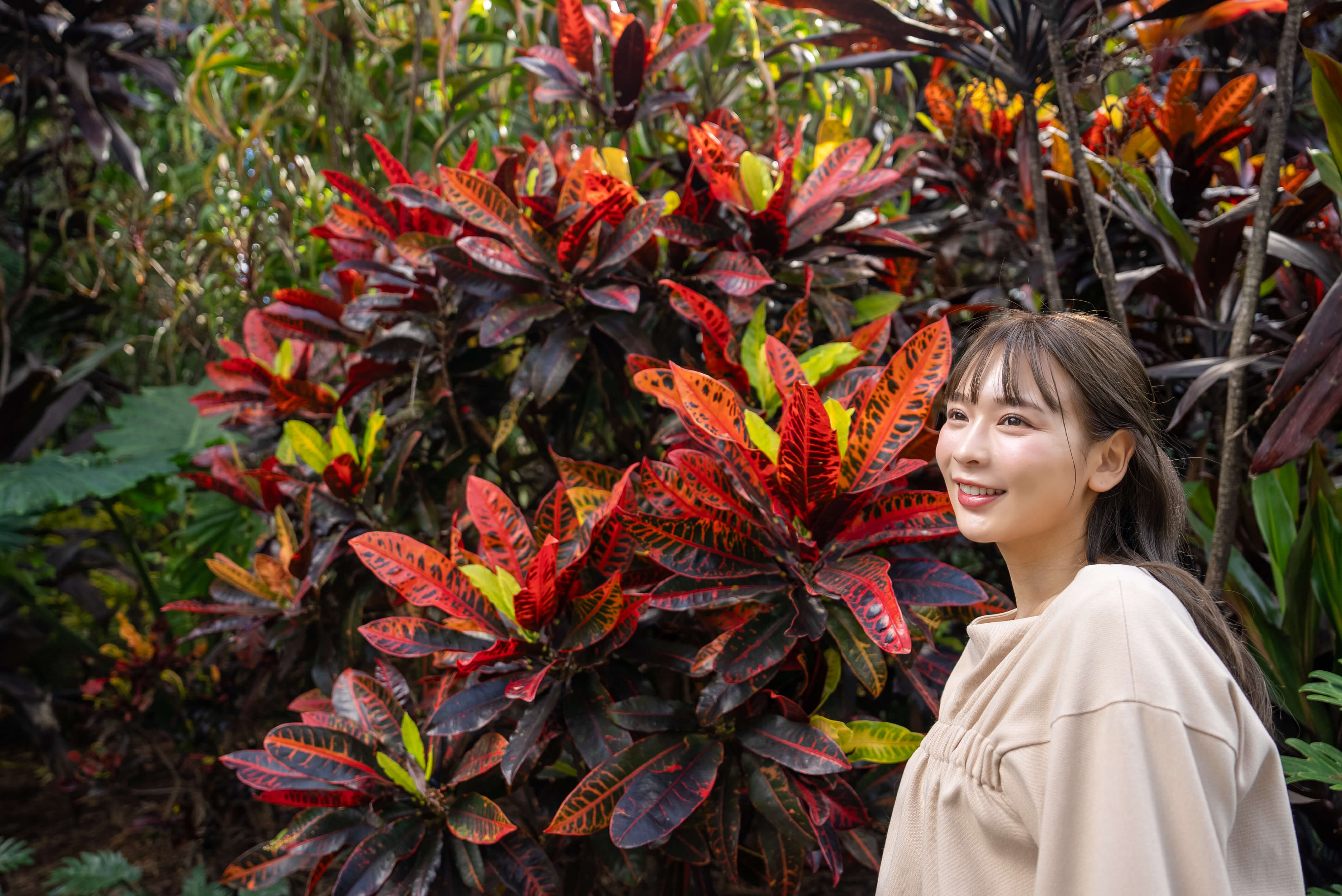 ブリスベンシティ植物園