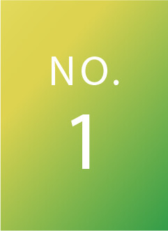 NO.1