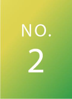 NO.2