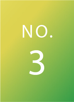 NO.3