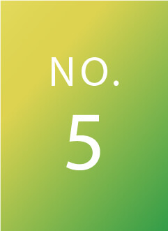 NO.5