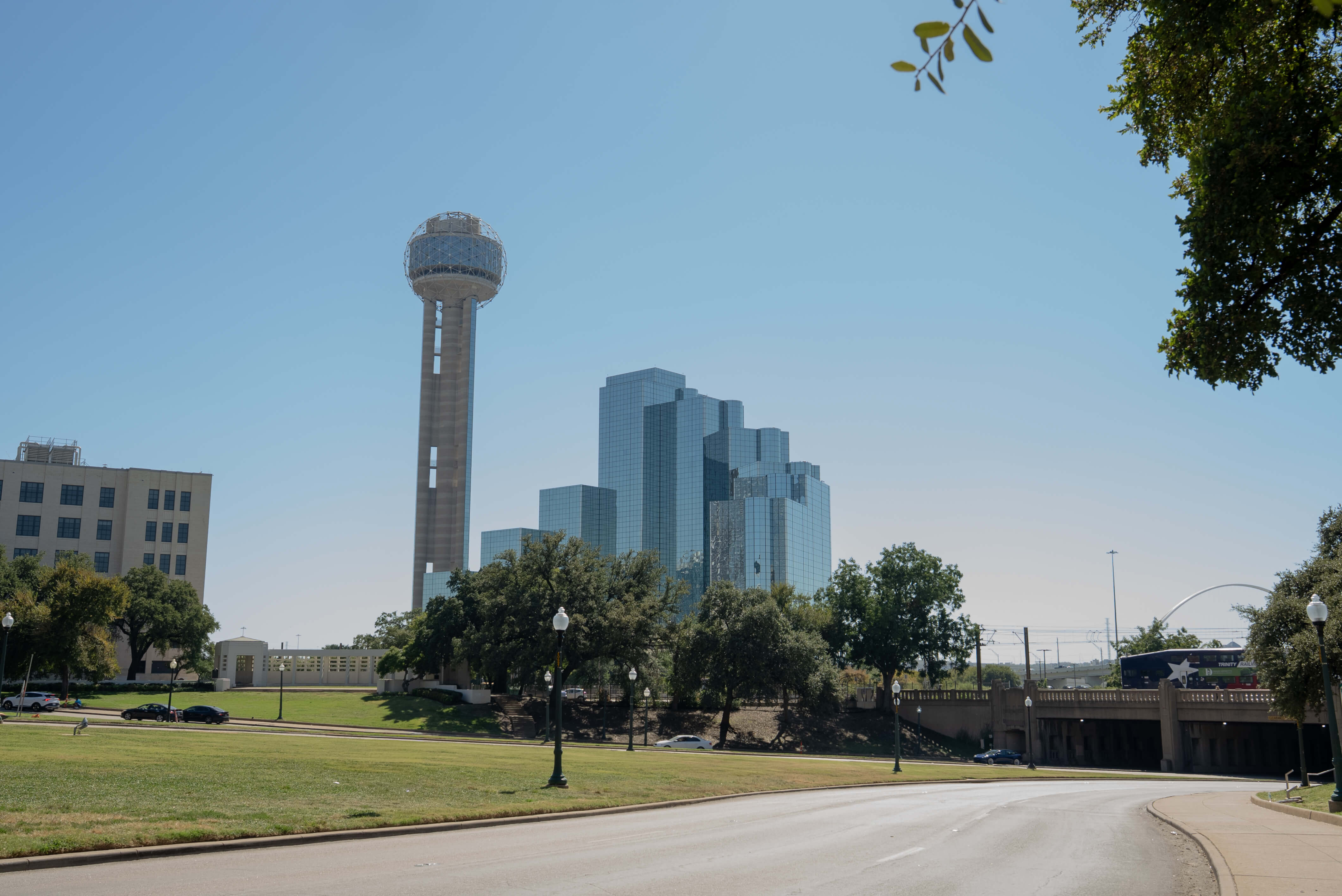 ビジネスの合間に見つけた、心をほどくダラスの午後