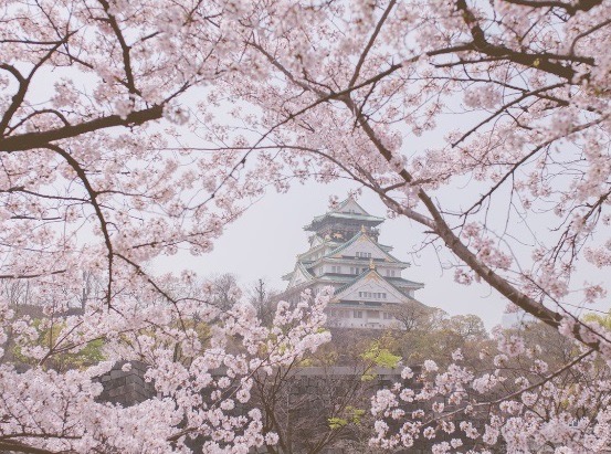 札幌