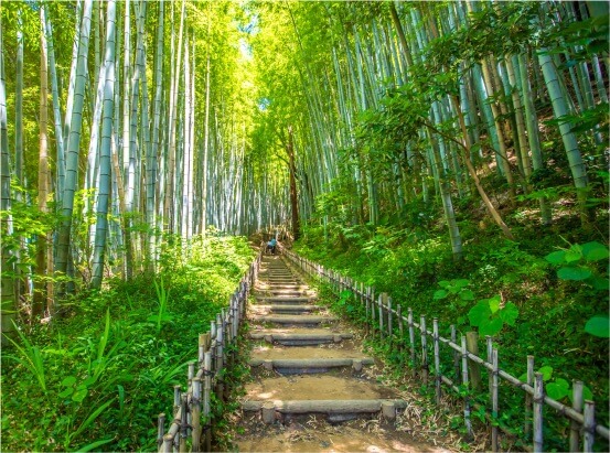 成田