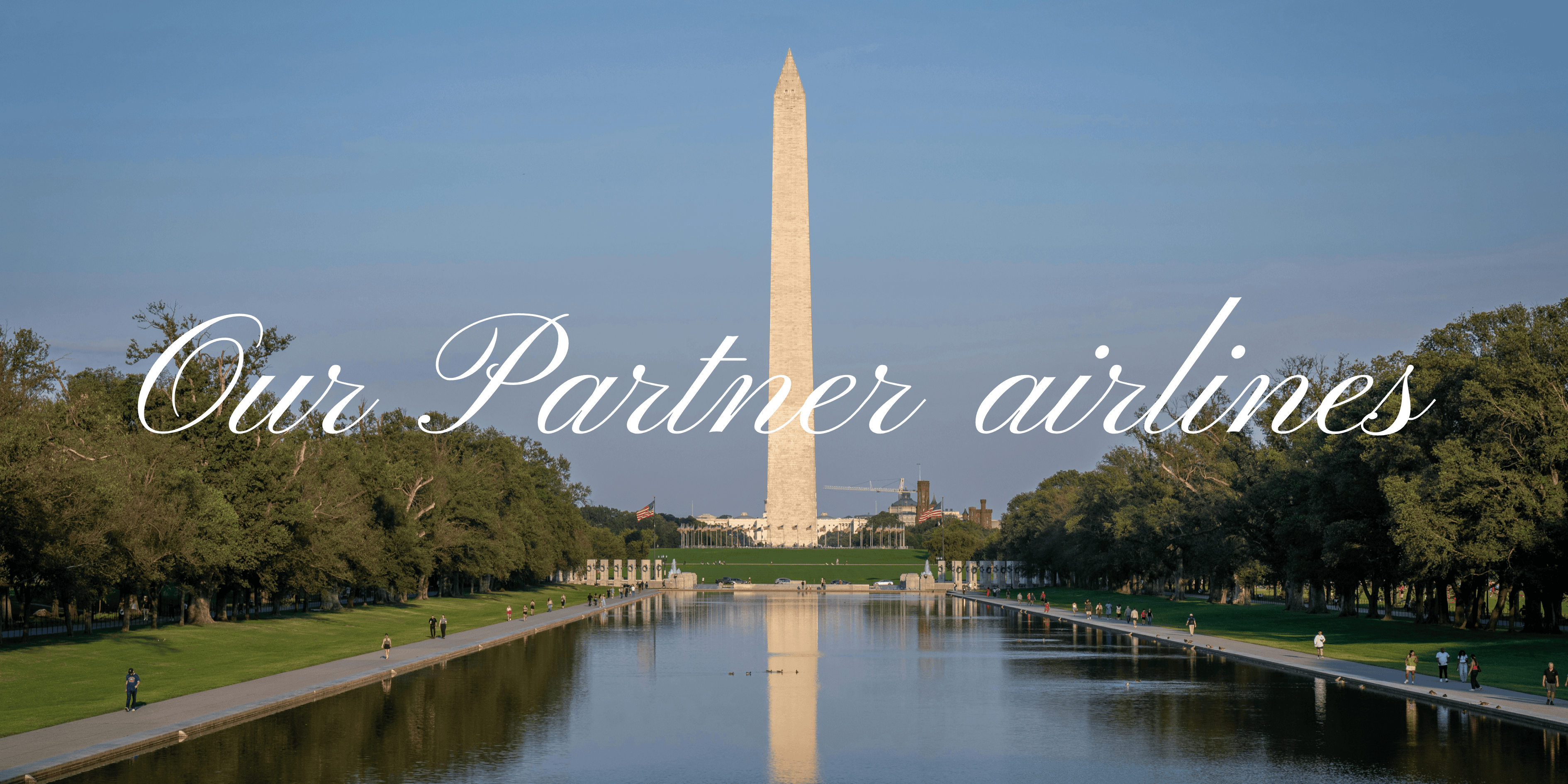 Our partner airlines